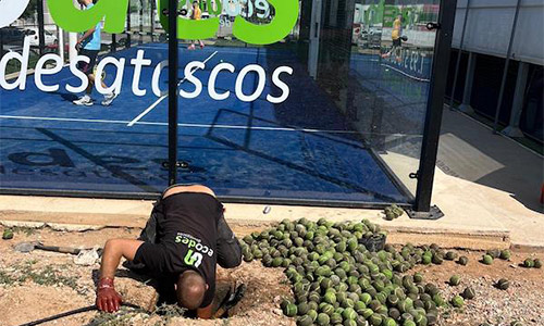 desatascos ecodes trabajos realizados desatascos urgentes (14)